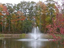 Bethany Beach Rental - Fountain